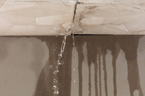 Professional Burst Pipe Cleanup technician working in Echola, AL